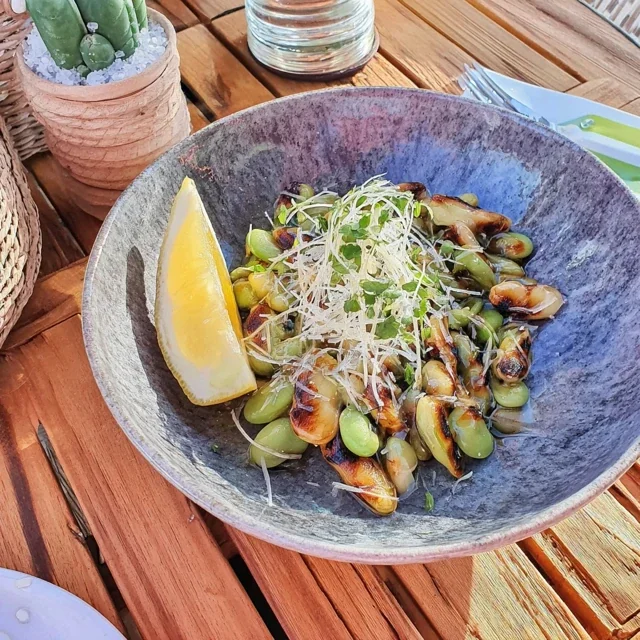 Edamame Grelhado Picante com Limão e Sal Marinho, Um Lanche Perfeito