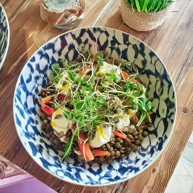 Salada de Lentilhas Verdes com Cenouras Bebê e Molho de Cominho